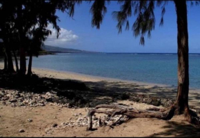 Ti Tropikal - Lagon